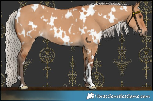 Horse Color:White Spotted Silver Bay Dun 