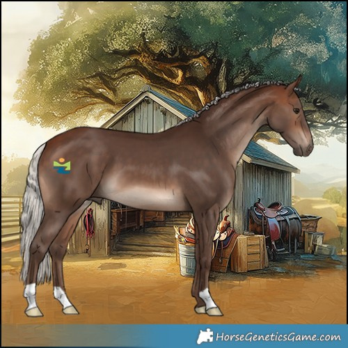 Horse Color:Silver Brown