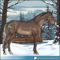 Horse Color:Silver Black 