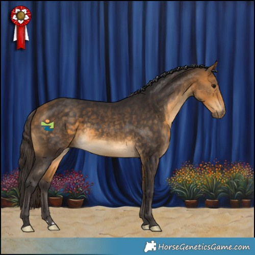 Horse Color:Buckskin