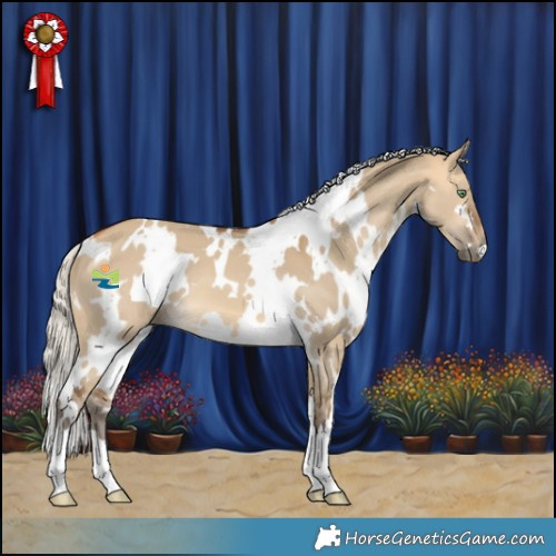 Horse Color:White Spotted Silver Buckskin Dun