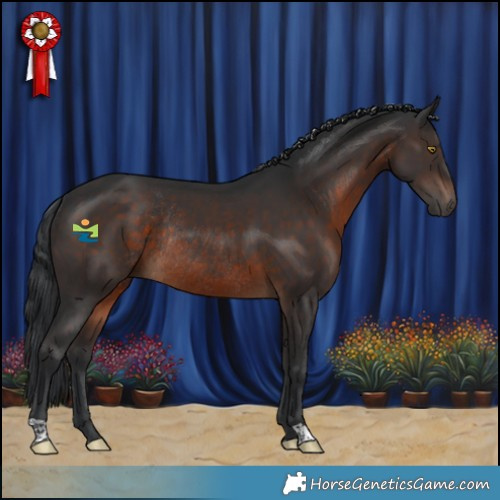 Horse Color:Brown Rabicano