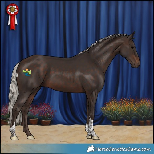 Horse Color:Silver Brown Tobiano 