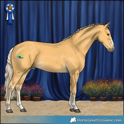 Horse Color:Palomino