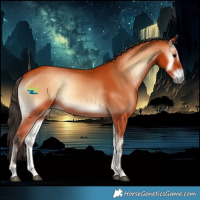 Horse Color:Bay Onyx 