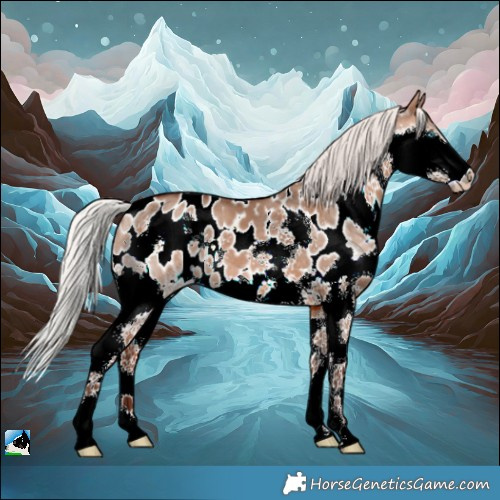 Horse Color:Silver Brown Dun Splash Near Leopard 