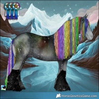 Horse Color:ERROR: UNKNOWN ANOMALY
