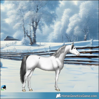 Horse Color:Black Fewspot