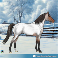 Horse Color:Bay Roan Near Fewspot Rabicano 