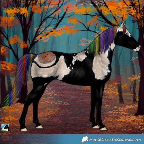 Horse Color:ERROR: UNKNOWN ANOMALY