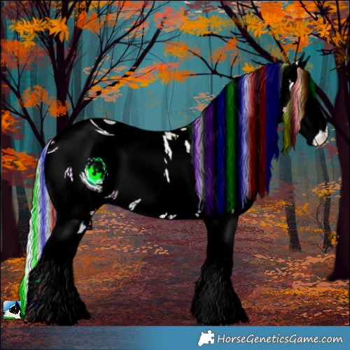 Horse Color:ERROR: UNKNOWN ANOMALY
