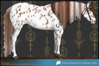Horse Color:White Spotted Chestnut Sabino Near Leopard 