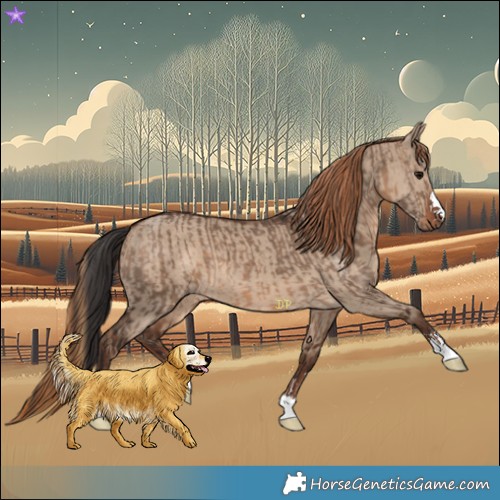 Horse Color:Bay Dun  and Liver Red Dun 