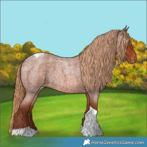 Horse Color:Red Roan Tobiano Appaloosa 