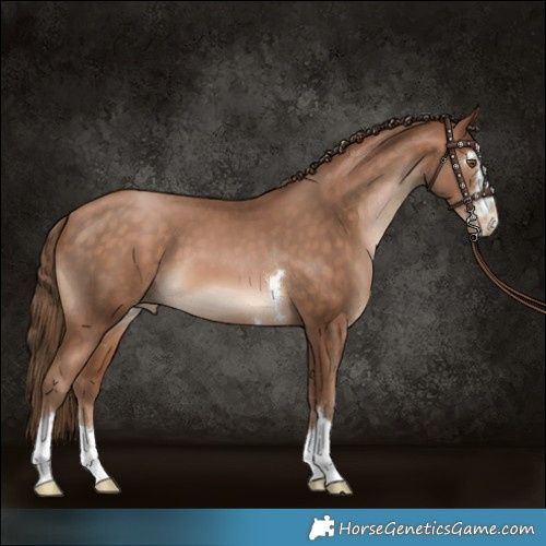 Horse Color:Brown Pearl