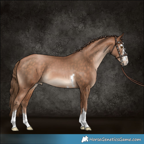 Horse Color:Brown Pearl 