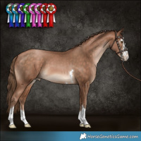 Horse Color:Brown Pearl