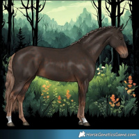 Horse Color:Liver Chestnut 