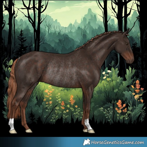 Horse Color:Liver Chestnut Rabicano