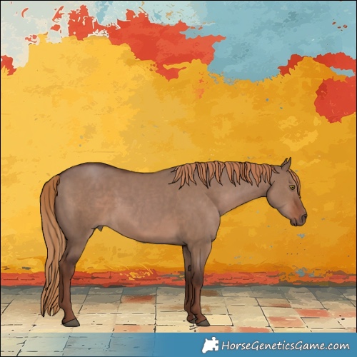 Horse Color:Liver Red Dun 