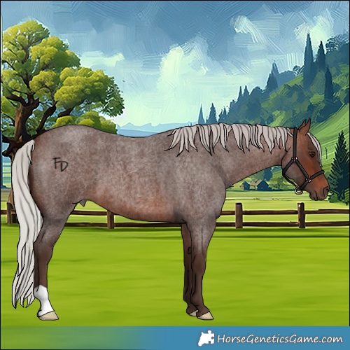 Horse Color:Silver Brown Roan 