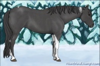 Horse Color:Smoky Blue Roan Tobiano 