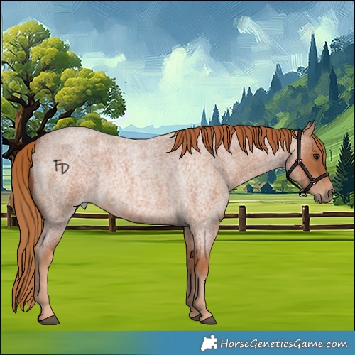 Horse Color:Red Roan