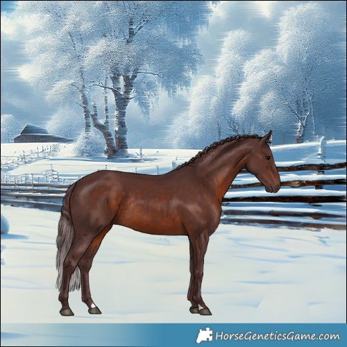 Horse Color:Chocolate Brown Rabicano 