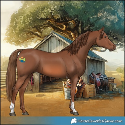 Horse Color:Chestnut Tobiano 