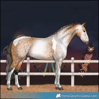 Horse Color:Gray Buckskin Tobiano