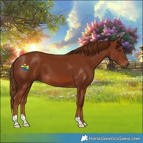 Horse Color:Chestnut 