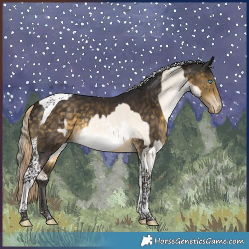 Horse Color:White Spotted Perlino Dun Tobiano Appaloosa Rabicano and Silver Buckskin Tobiano Appaloosa Rabicano