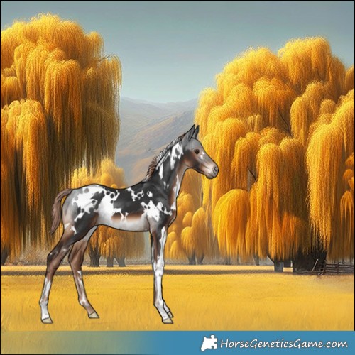 Horse Color:White Spotted Liver Chestnut 