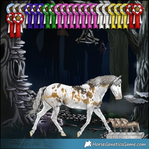Horse Color:White Spotted Silver Buckskin Onyx Splash Blanket 