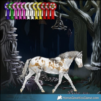 Horse Color:White Spotted Silver Buckskin Onyx Splash Appaloosa 