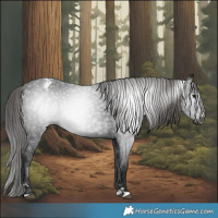 Horse Color:Gray Black Varnish