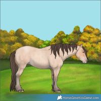 Horse Color:Amber Champagne Roan 