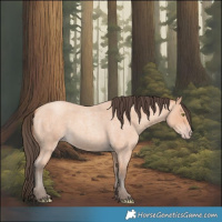 Horse Color:Amber Champagne Roan 