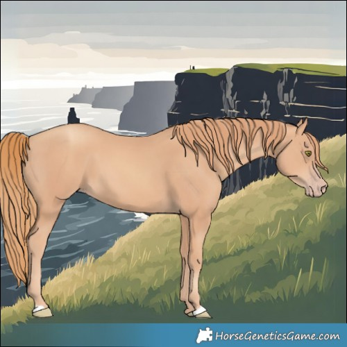 Horse Color:Gold Champagne 