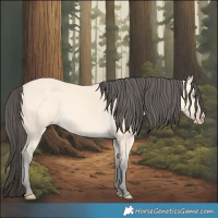 Horse Color:Amber Cream Champagne