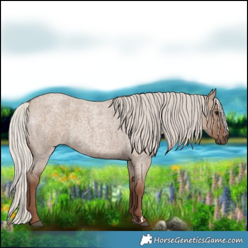 Horse Color:Silver Grullo Roan