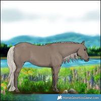 Horse Color:Silver Grullo