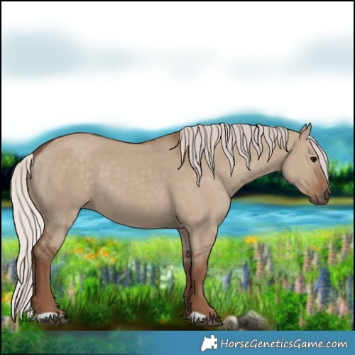Horse Color:Silver Grullo 