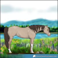 Horse Color:Classic Champagne Dun Tobiano
