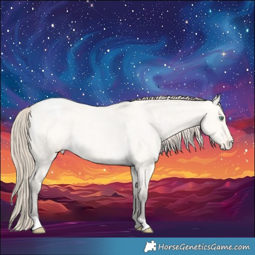 Horse Color:Amber Cream Champagne Roan Dun Appaloosa