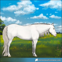 Horse Color:Amber Cream Champagne Roan Dun Varnish