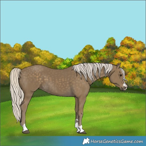 Horse Color:Silver Smoky Black 