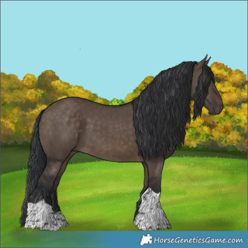 Horse Color:Brown Dun Tobiano 