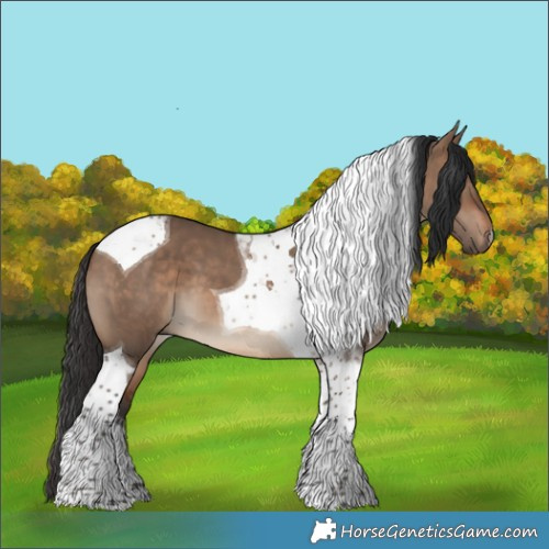 Horse Color:Brown Dun Tobiano 
