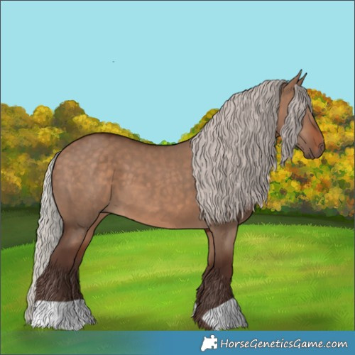 Horse Color:Silver Brown Dun 